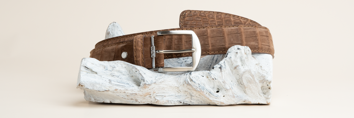 Buffed American Alligator