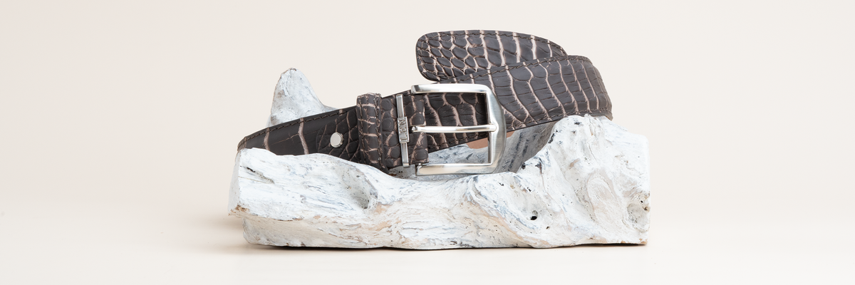 Two-Toned American Alligator