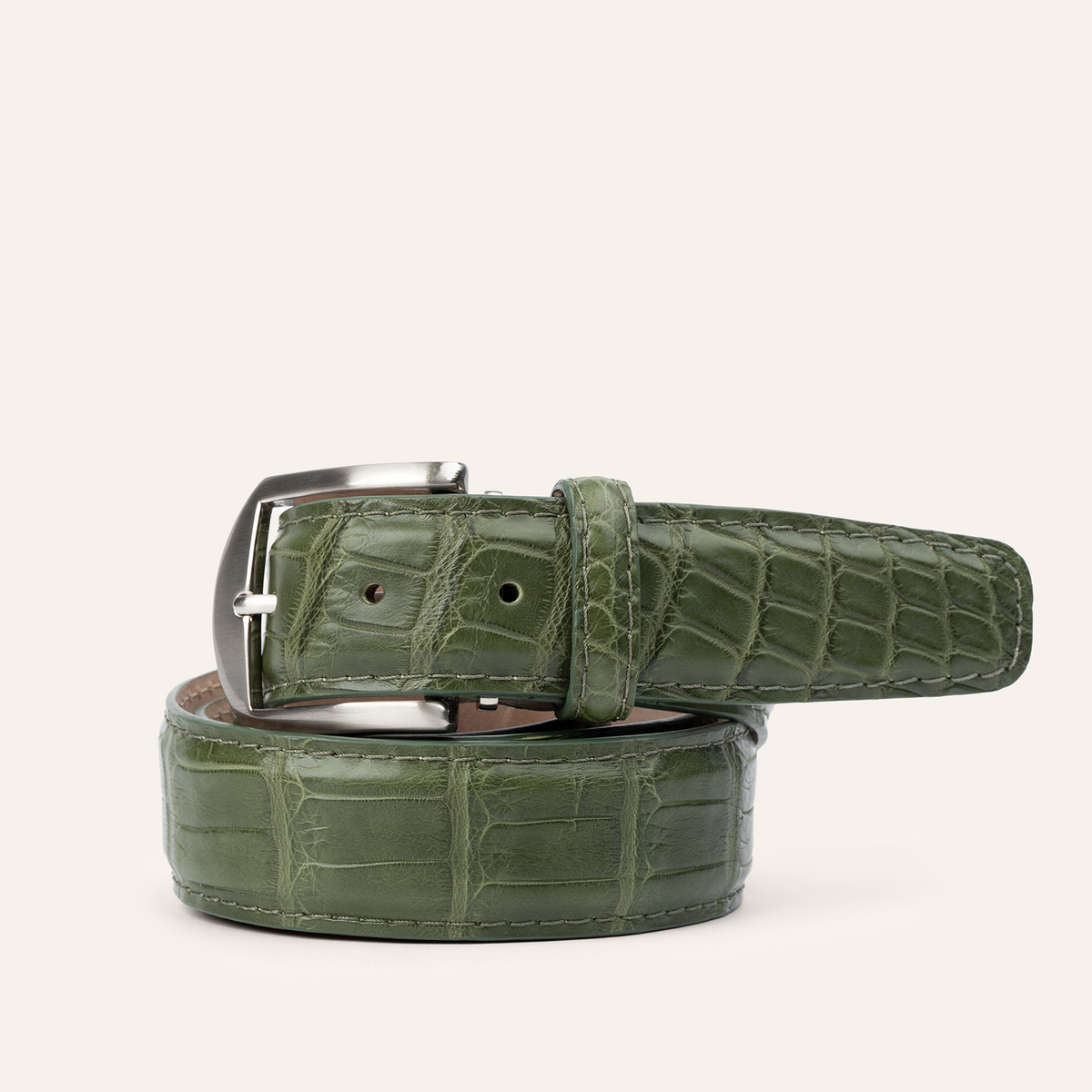 American Alligator - Olive