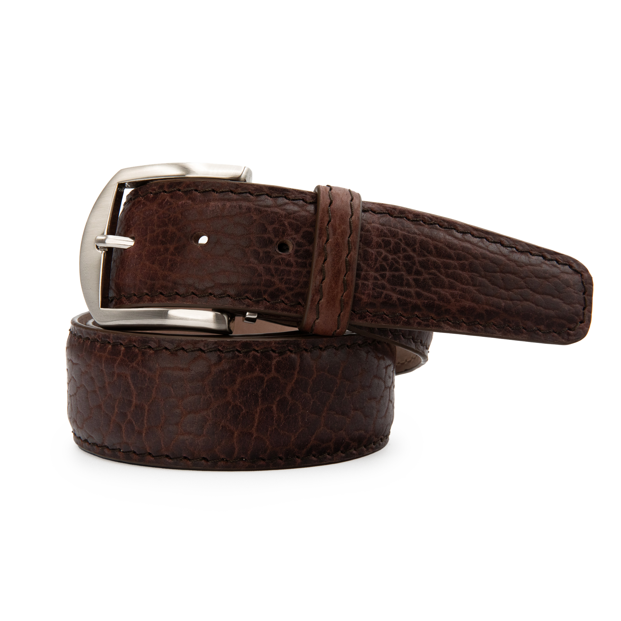 American Bison - Brown
