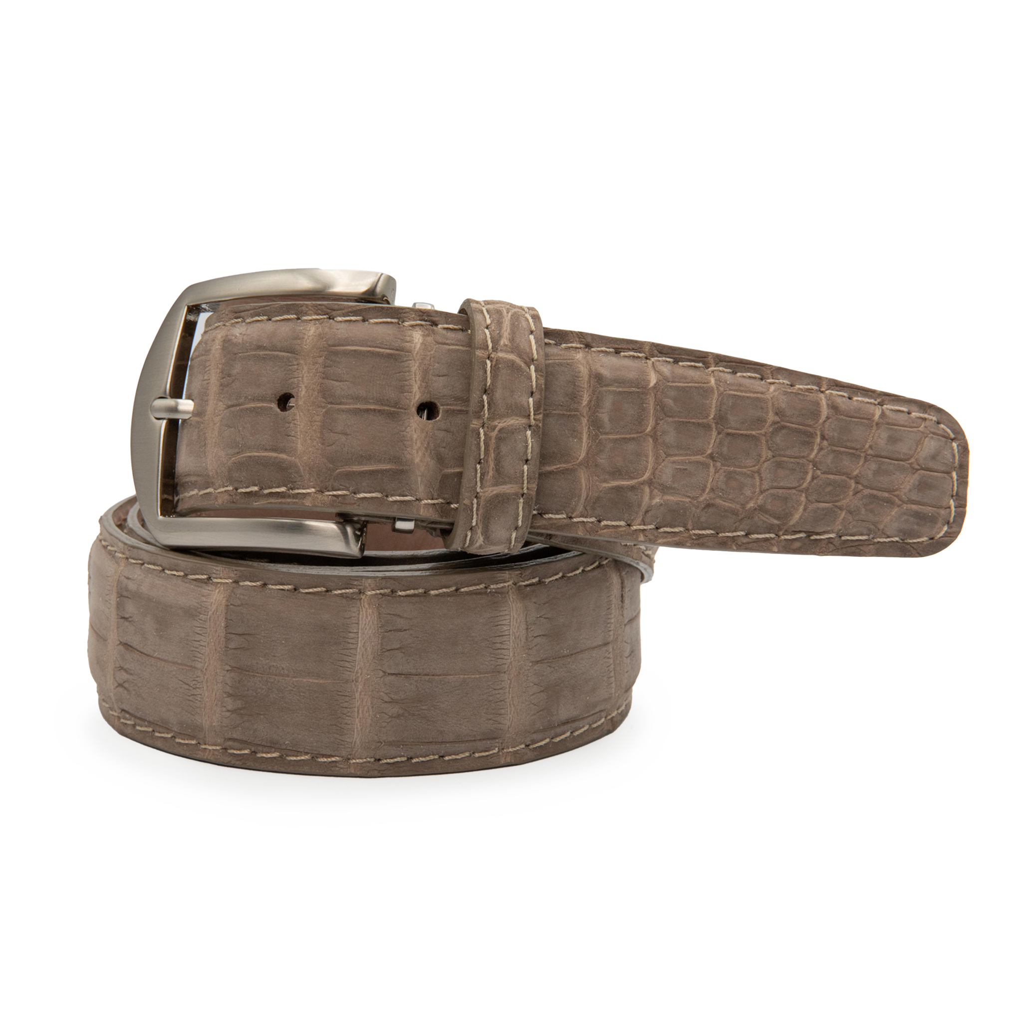 Buffed American Alligator - Fawn