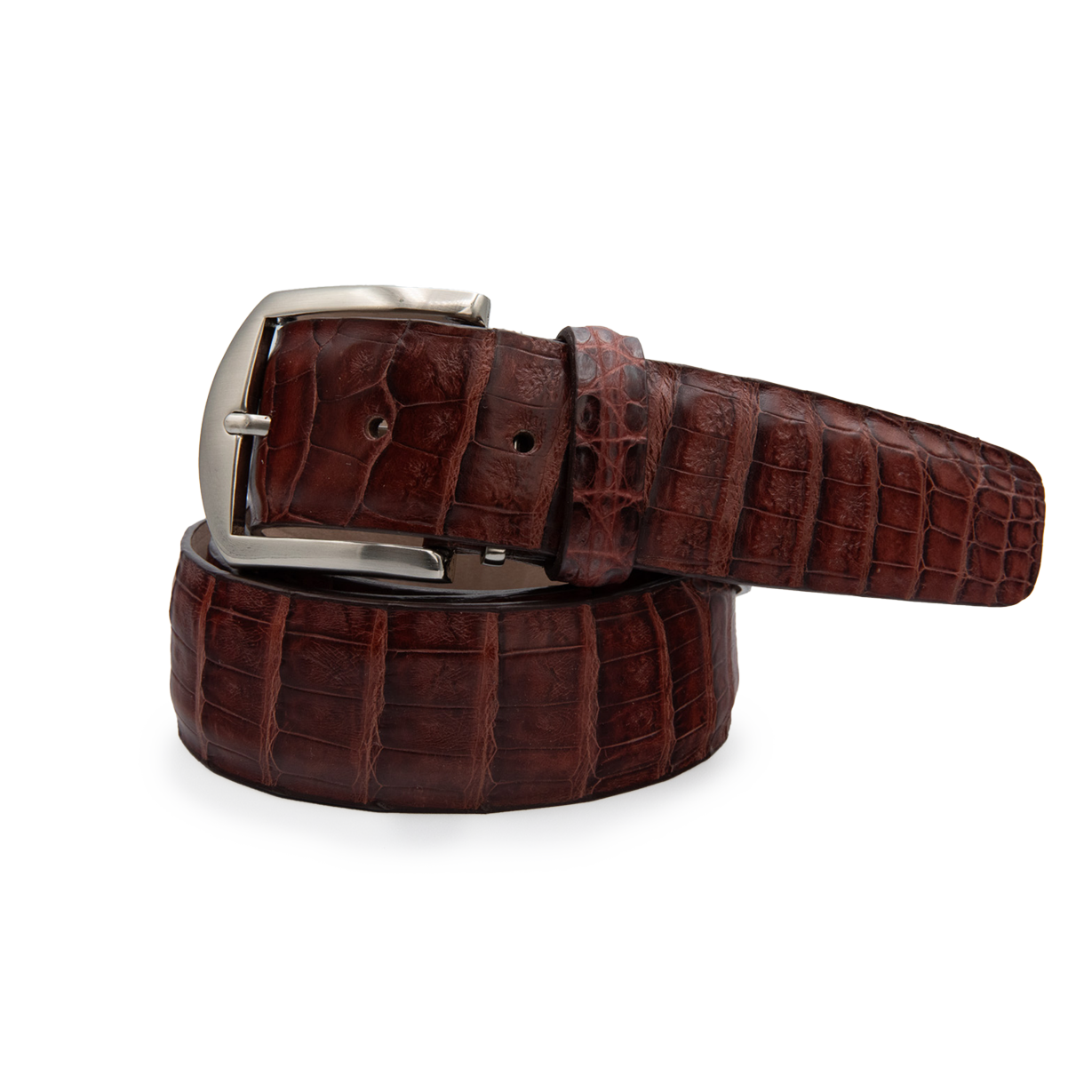 Caiman Crocodile - Amaretto