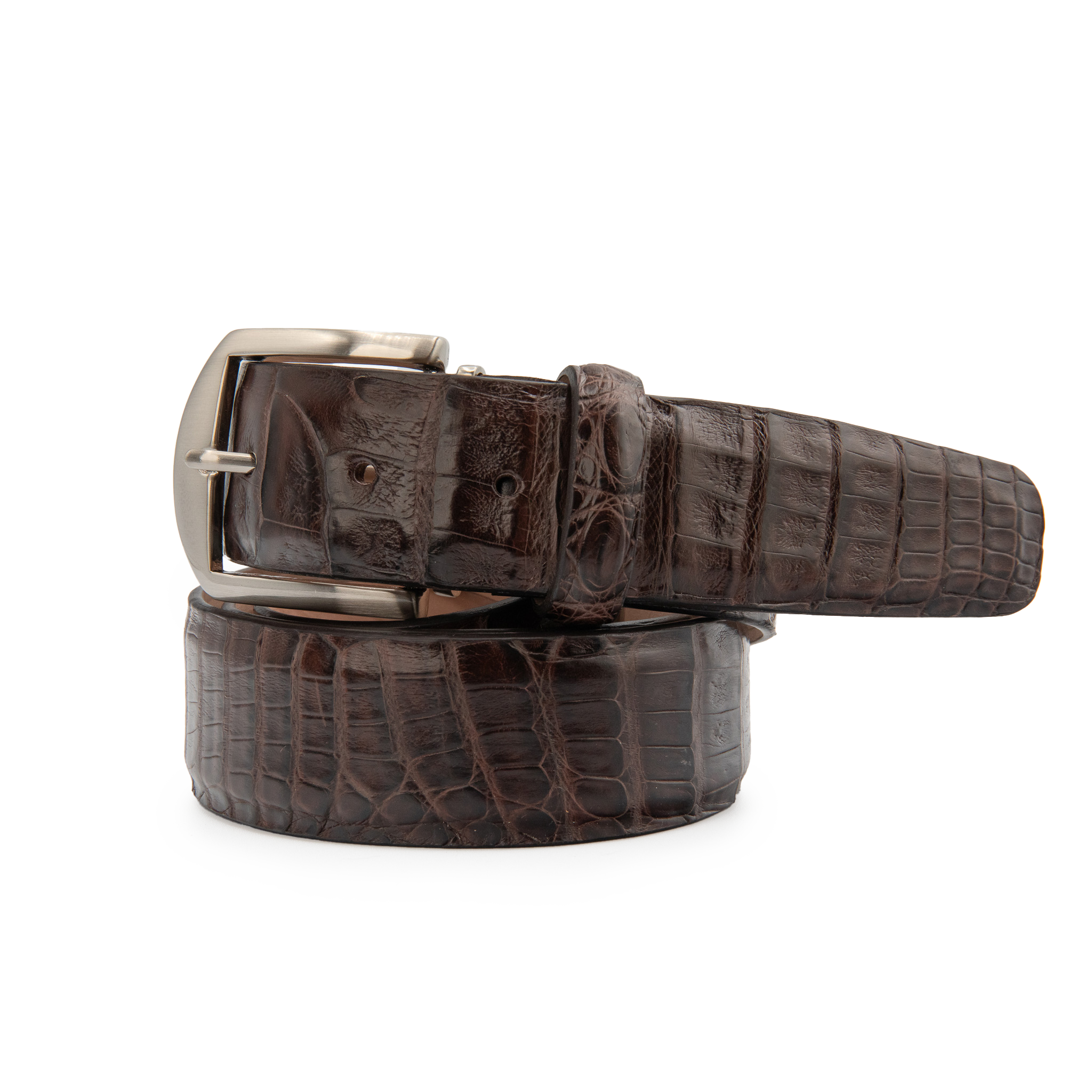 Caiman Crocodile - Brown