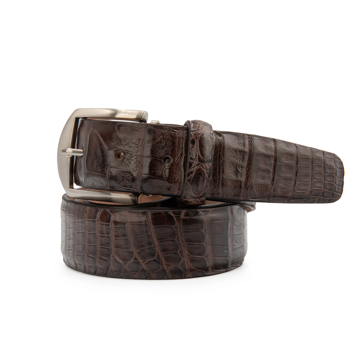 Caiman Crocodile - Brown