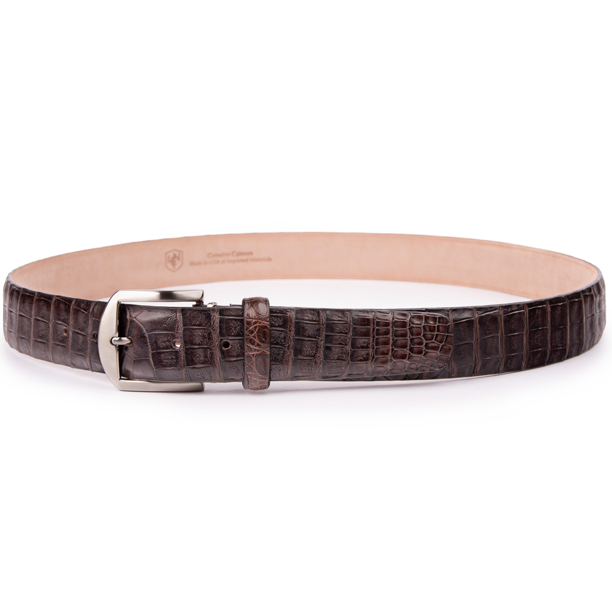 Caiman Crocodile - Brown