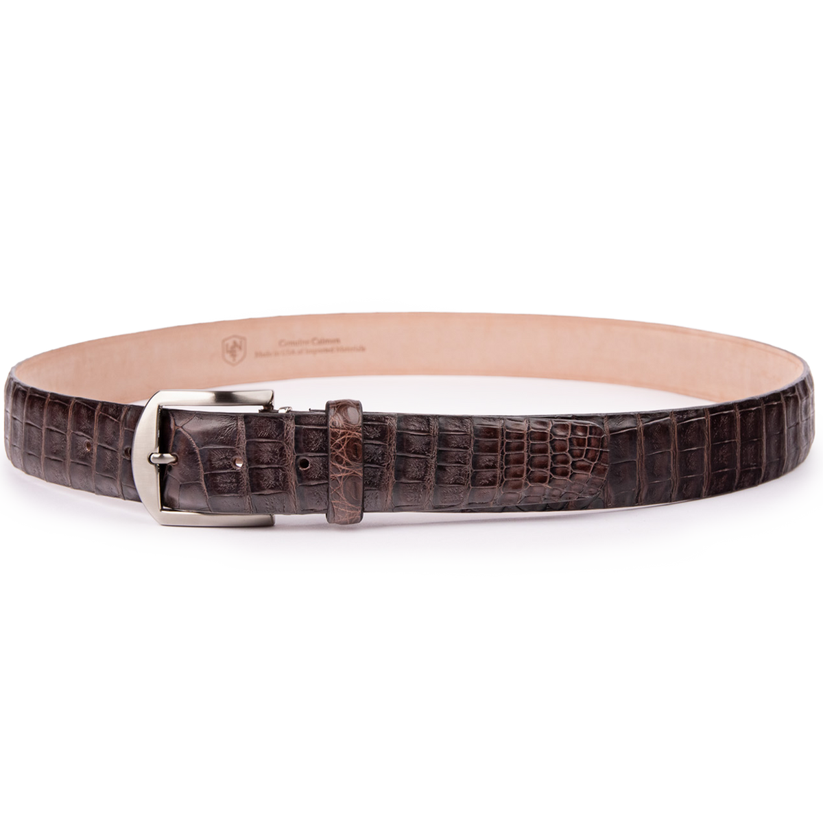 Caiman Crocodile - Brown