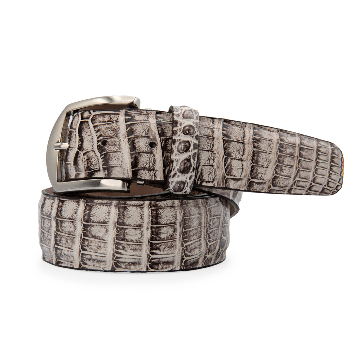 Caiman Crocodile - Chalk