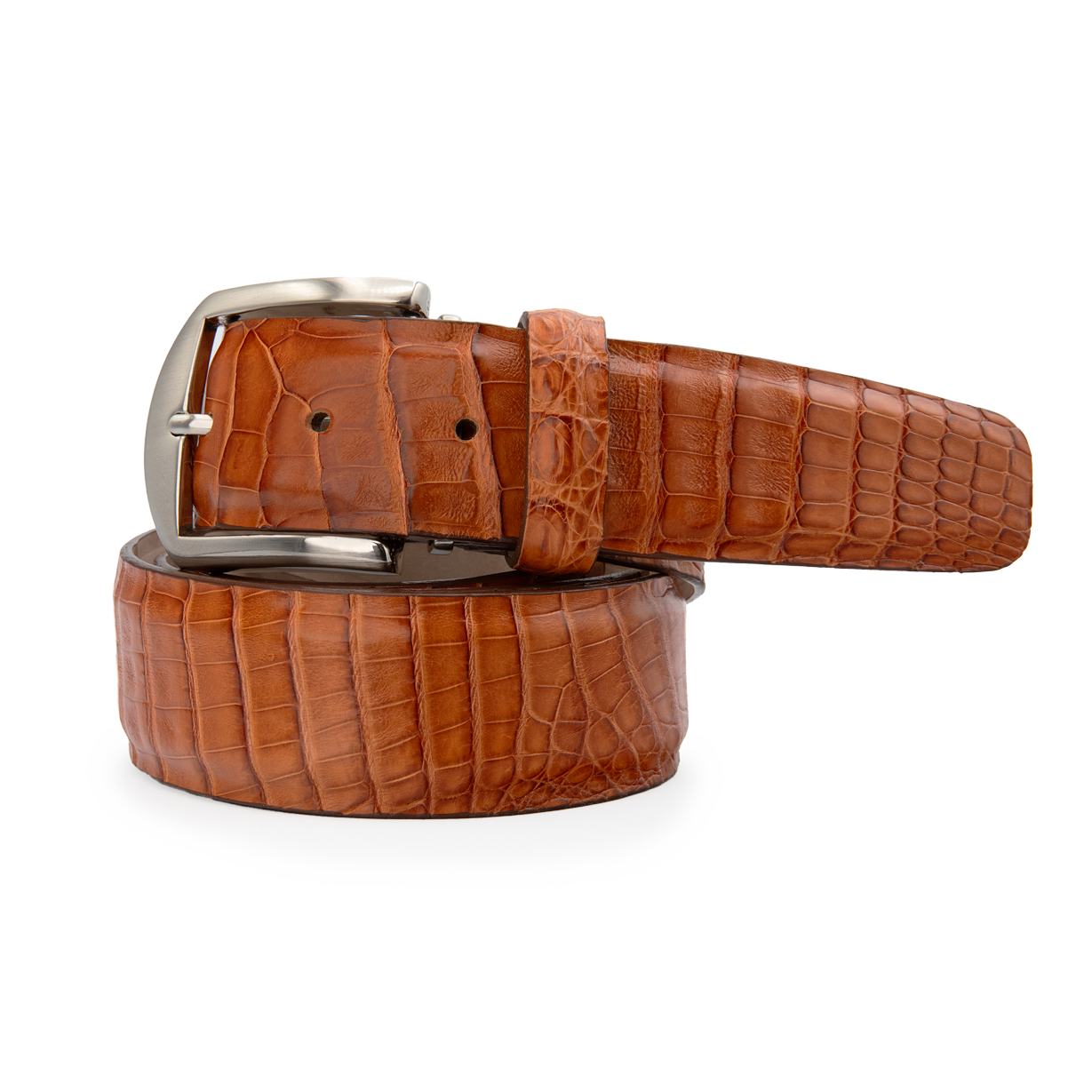 Caiman Crocodile - Cognac