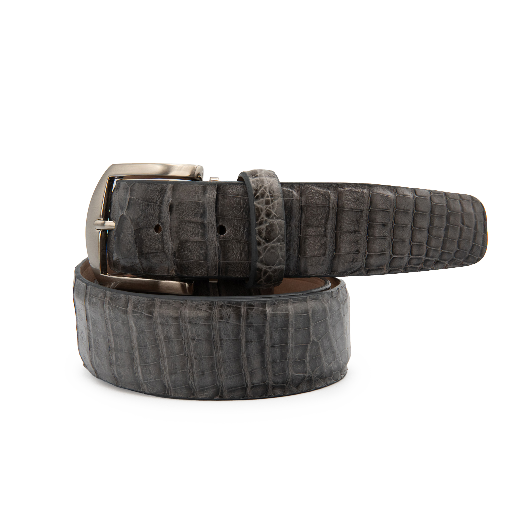Caiman Crocodile - Grey