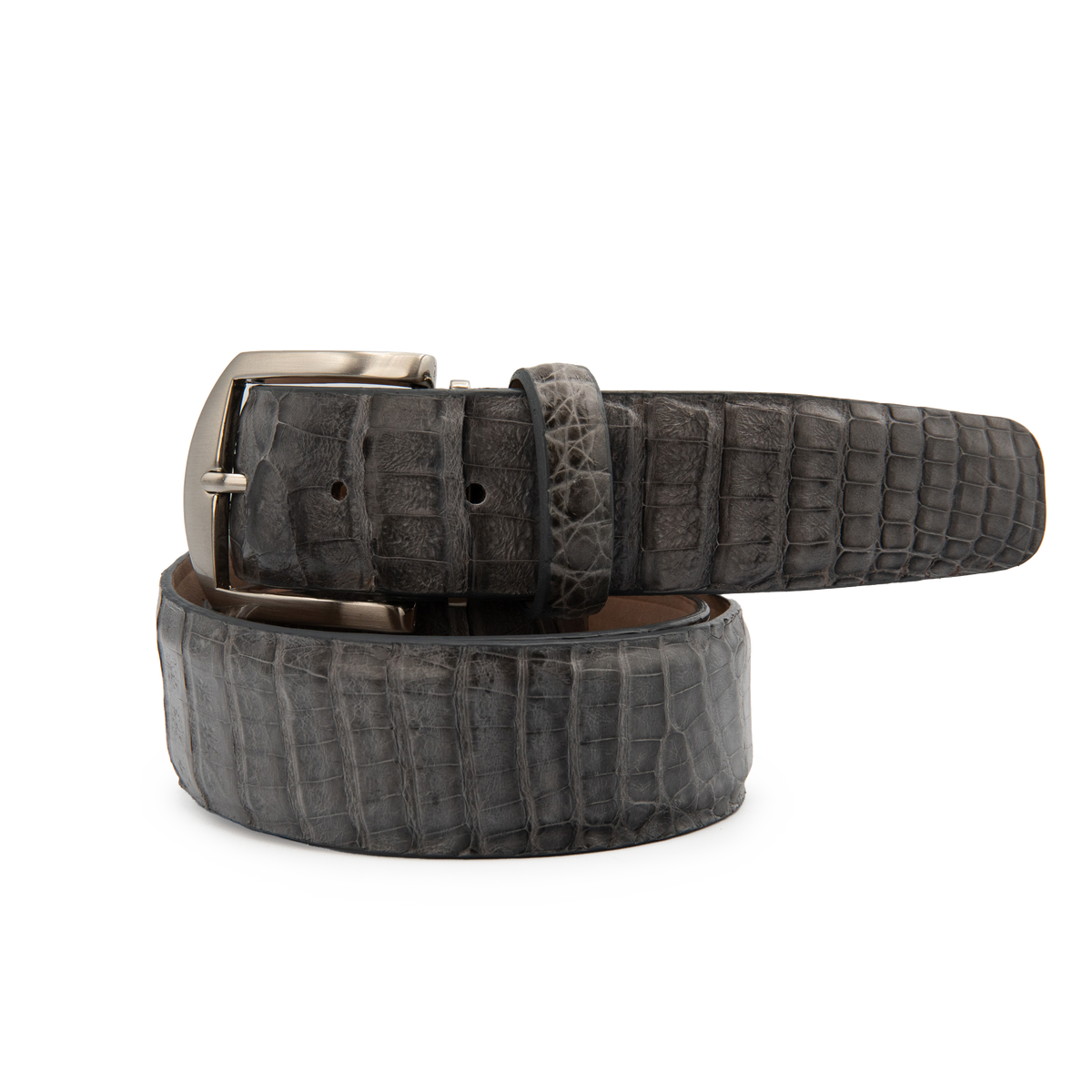 Caiman Crocodile - Grey