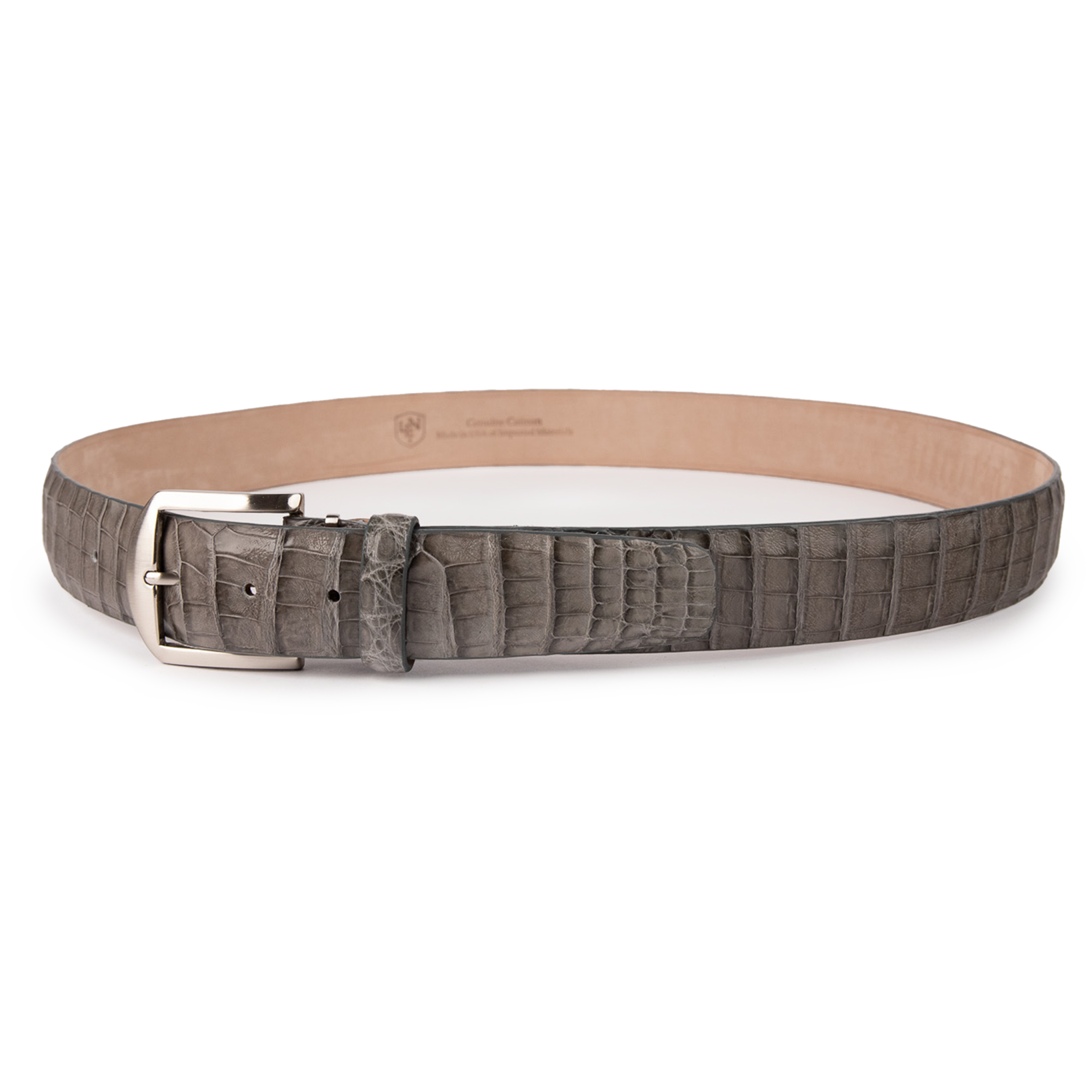 Caiman Crocodile - Grey