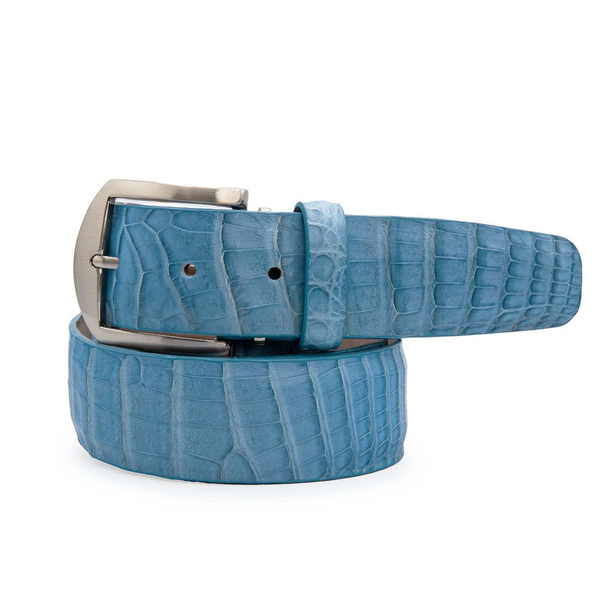 Caiman Crocodile - Light Blue