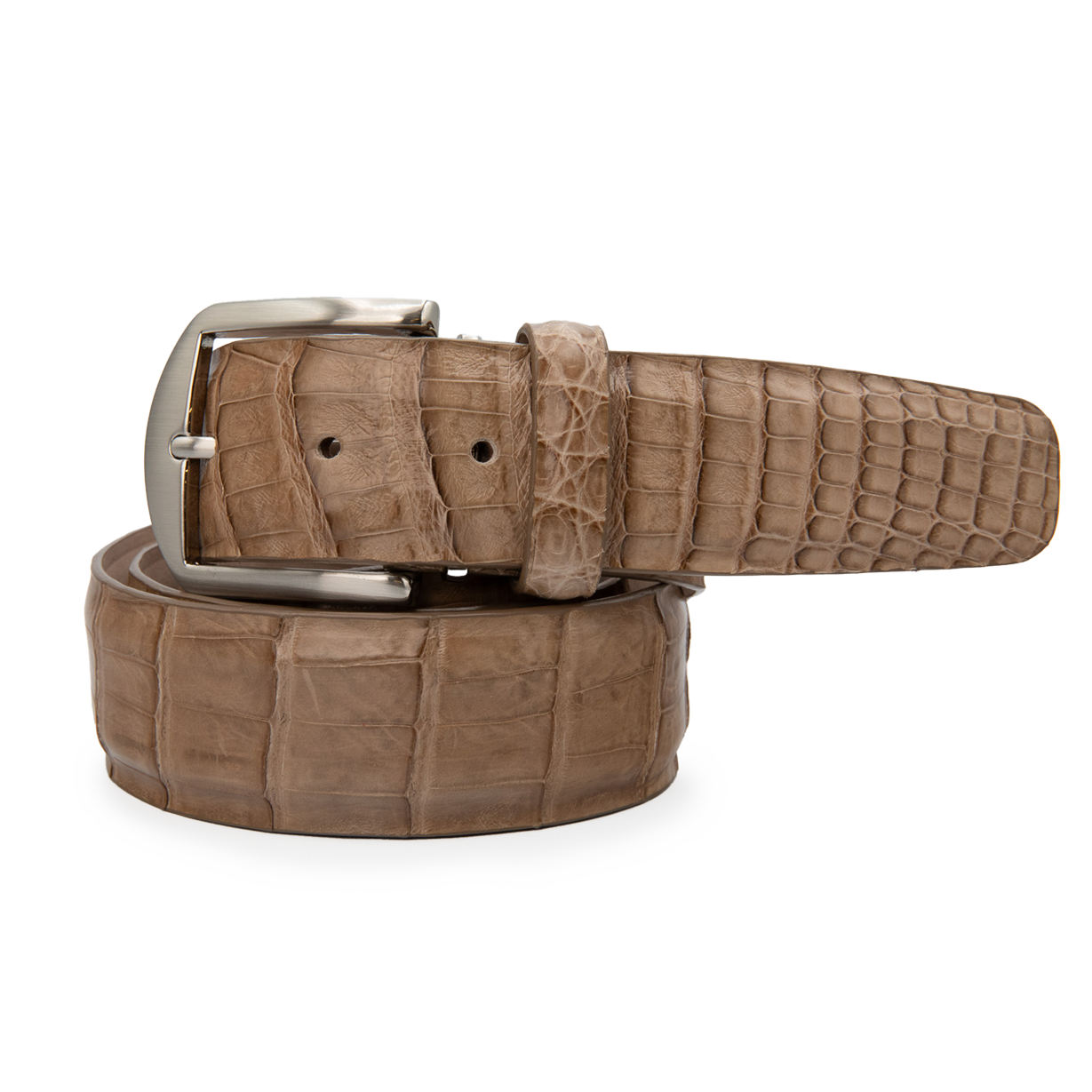 Caiman Crocodile - Mink