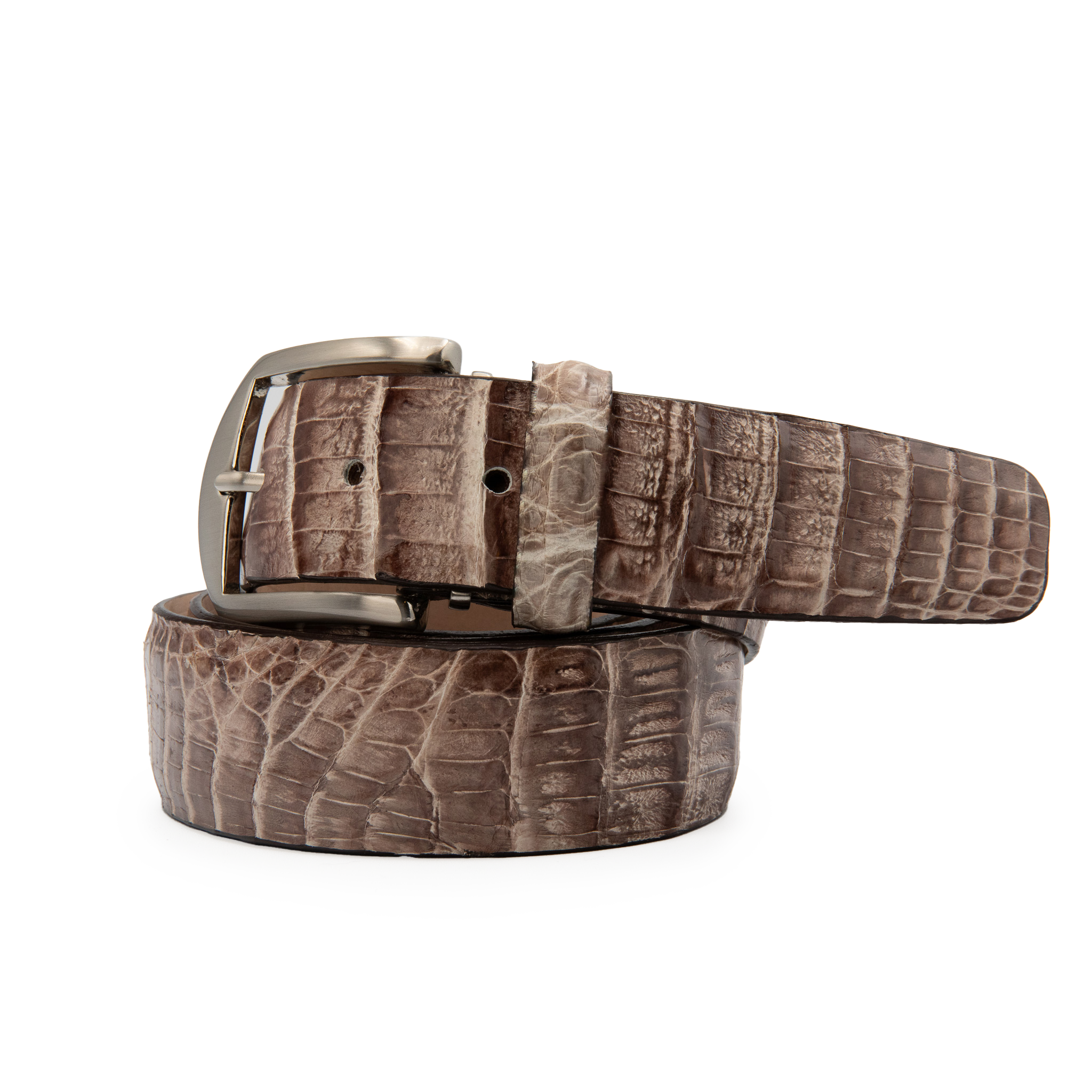 Caiman Crocodile - Natural