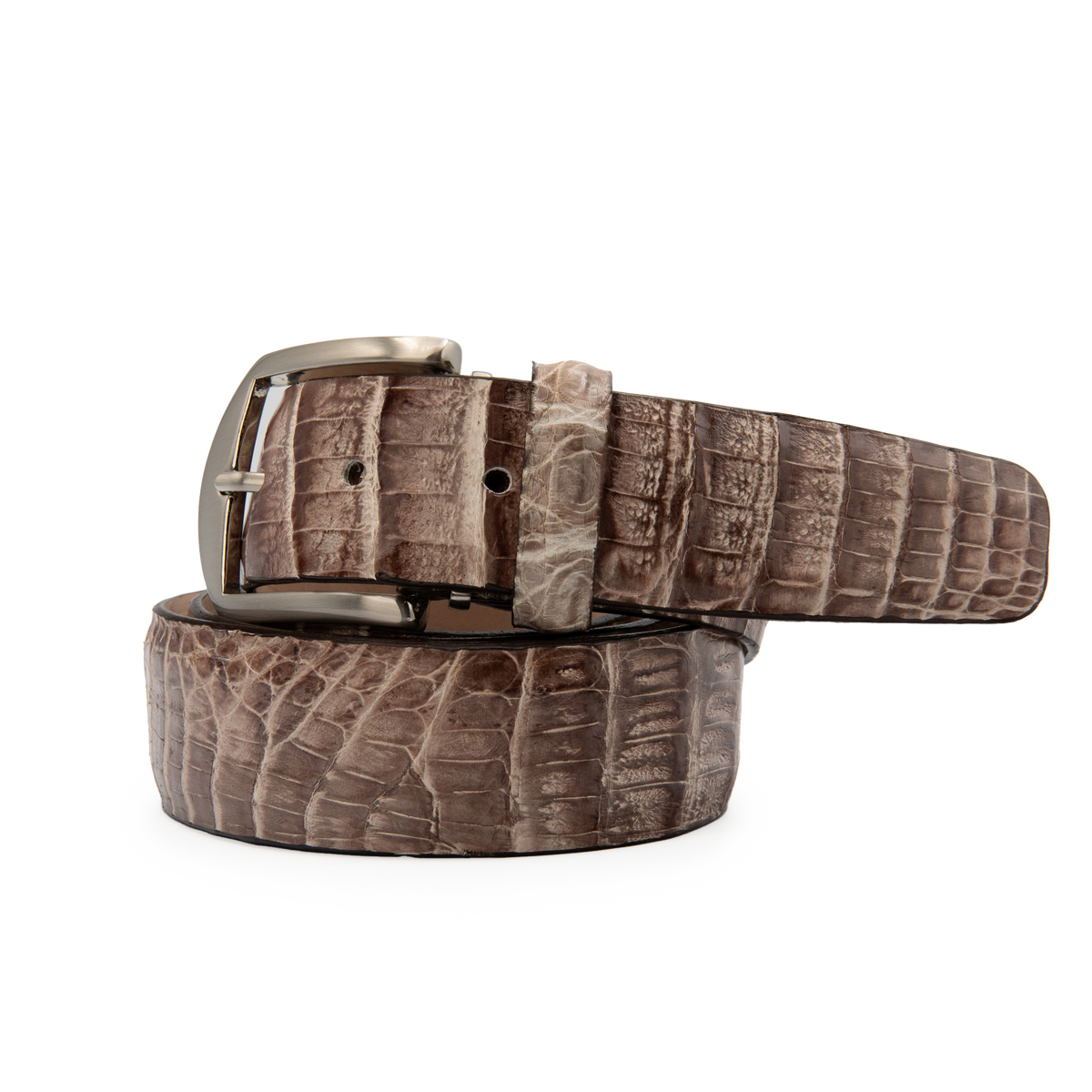 Caiman Crocodile - Natural