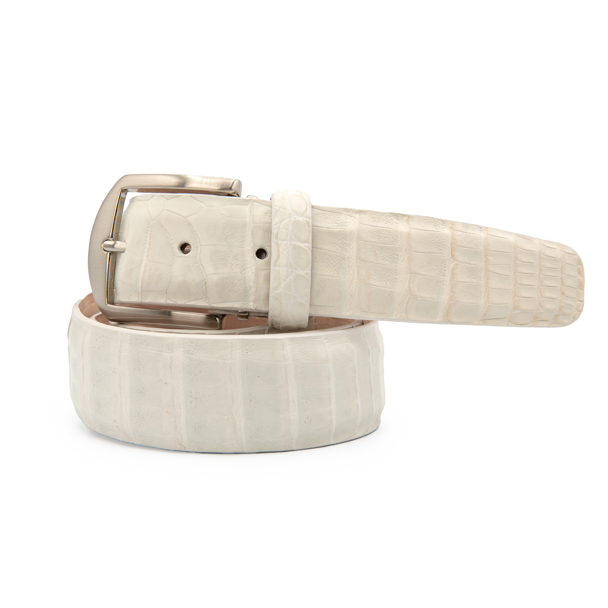 Caiman Crocodile - White