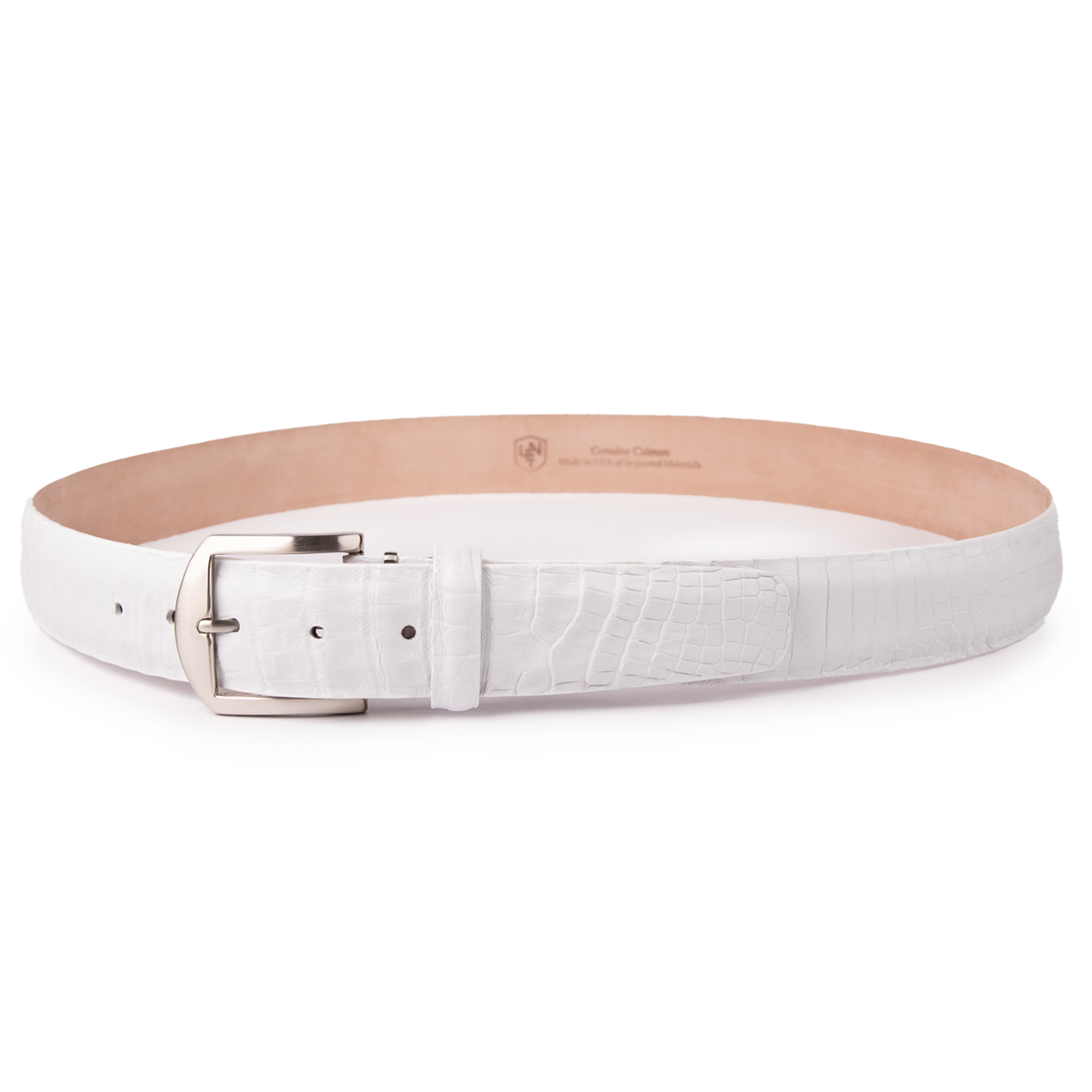 Caiman Crocodile - White