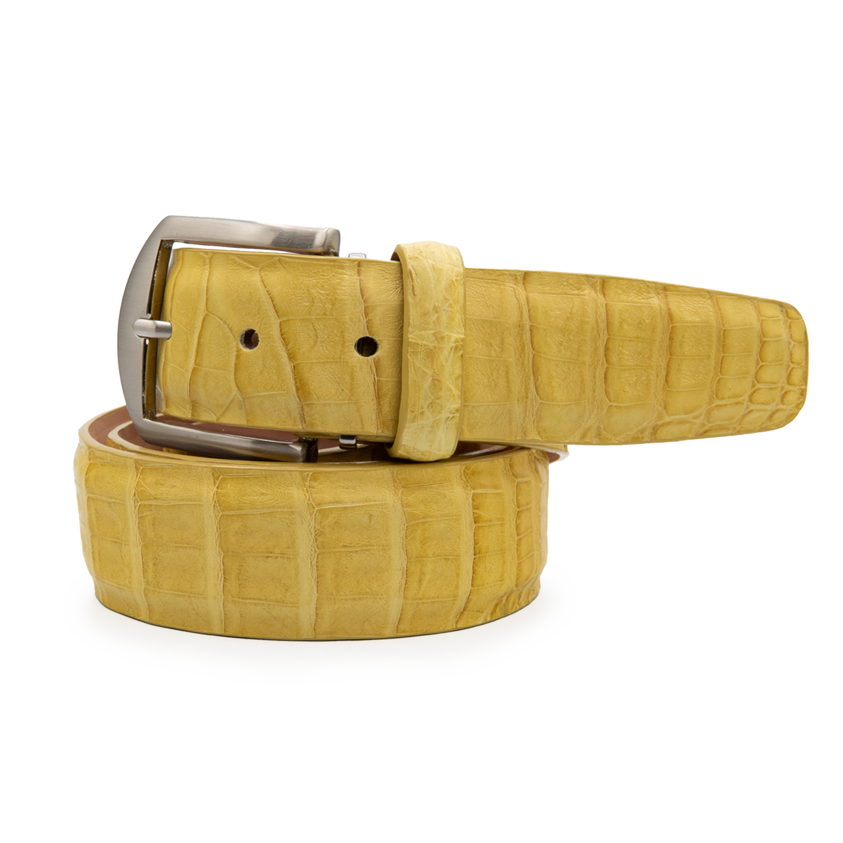 Caiman Crocodile - Yellow
