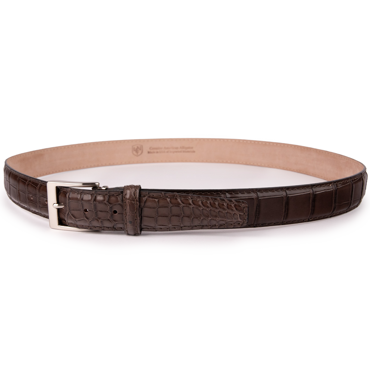 American Alligator - Brown 35mm