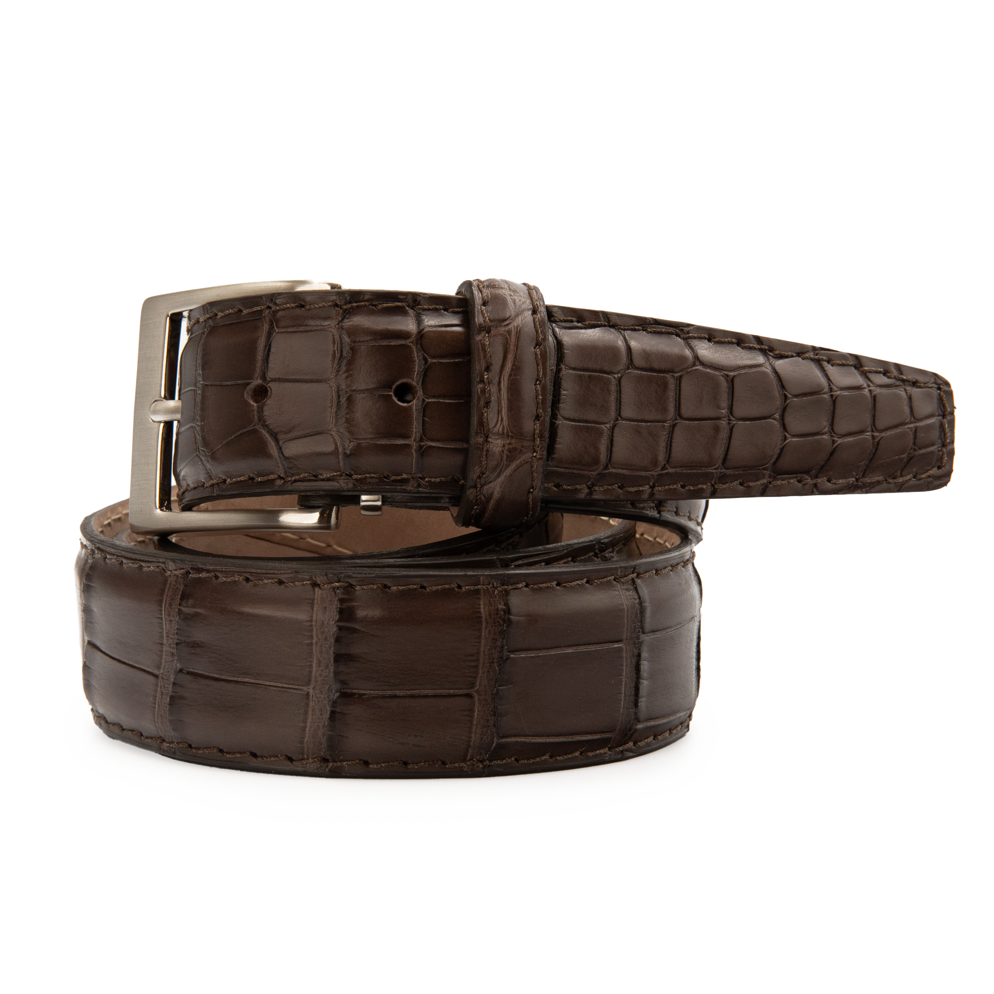 American Alligator - Brown 35mm