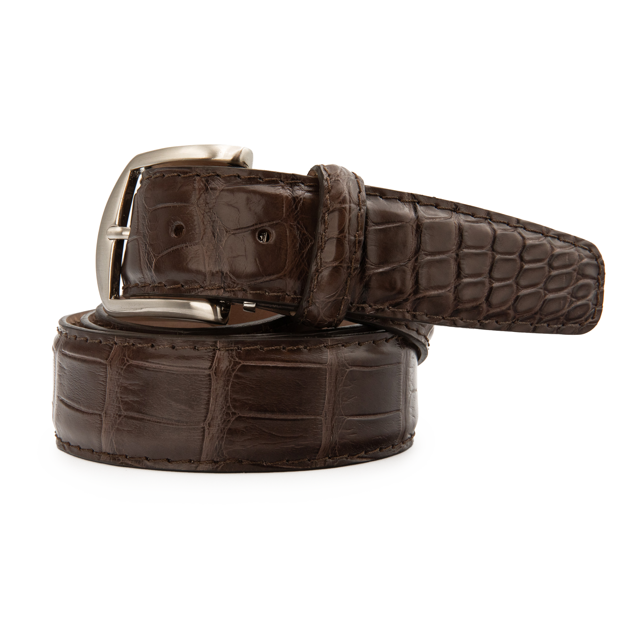 American Alligator - Brown 40mm