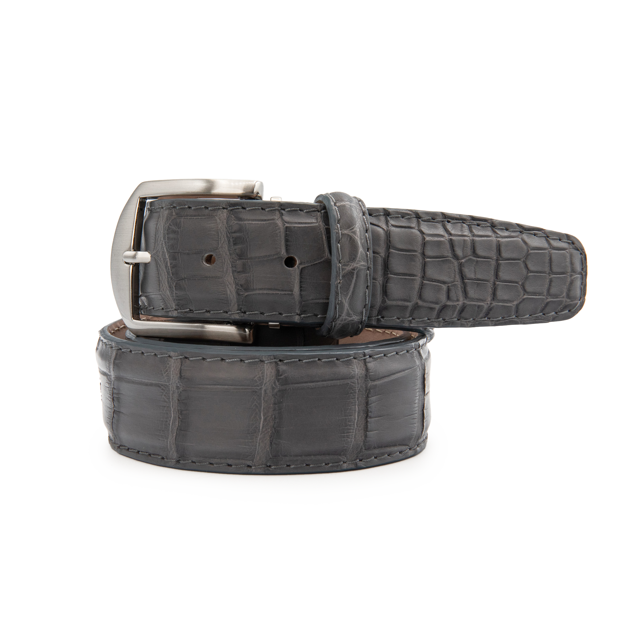 American Alligator - Grey