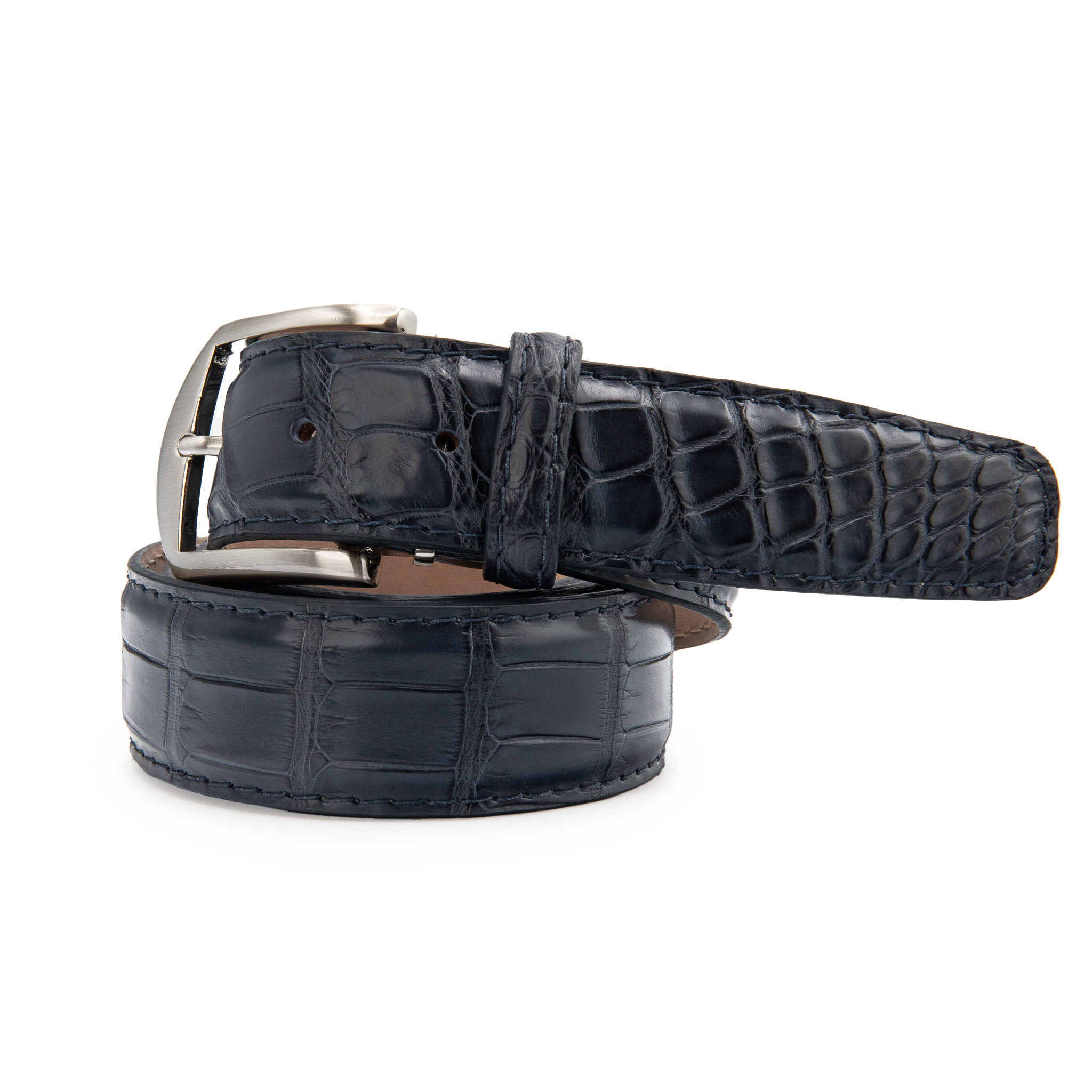American Alligator - Navy