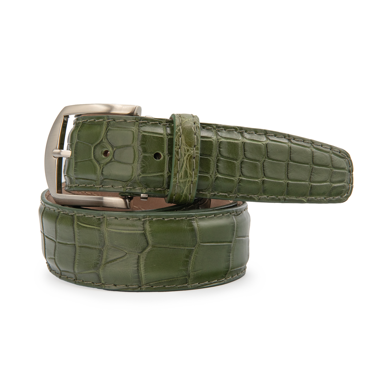 American Alligator - Olive