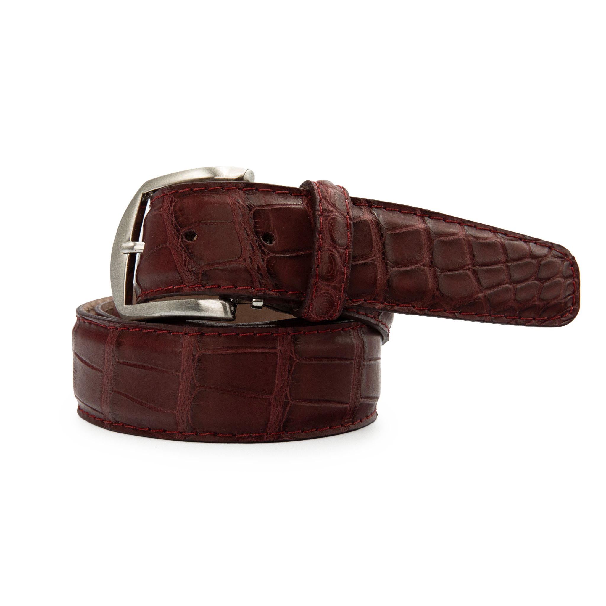 American Alligator - Oxblood