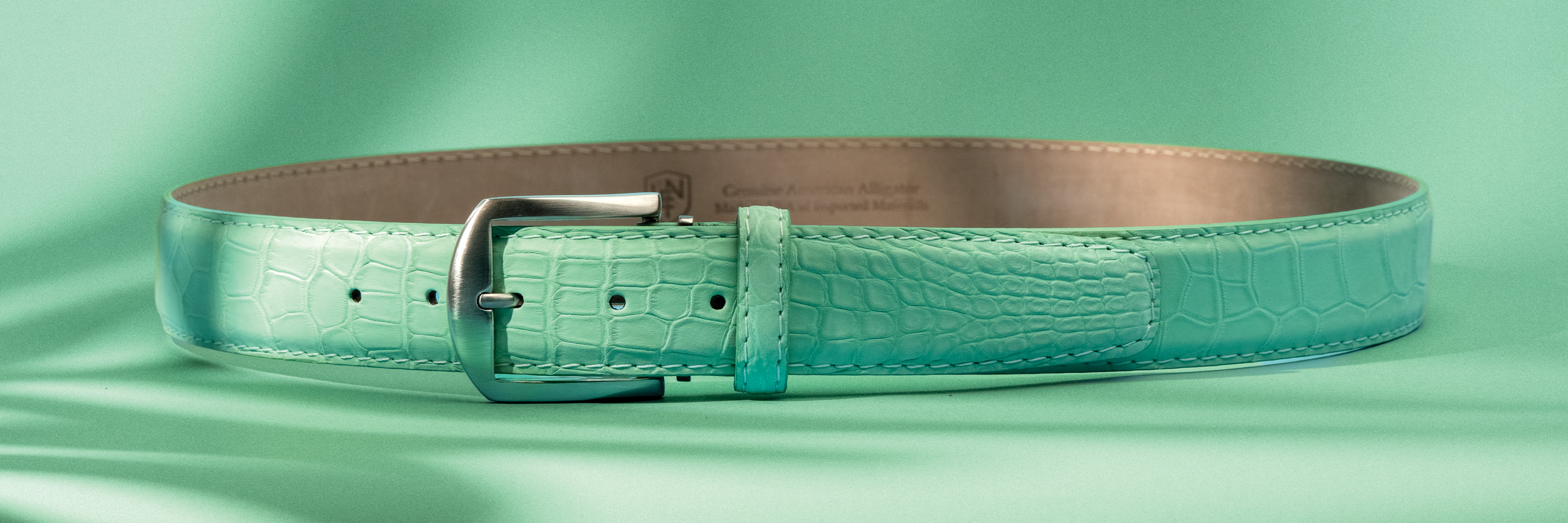 Buffed American Alligator