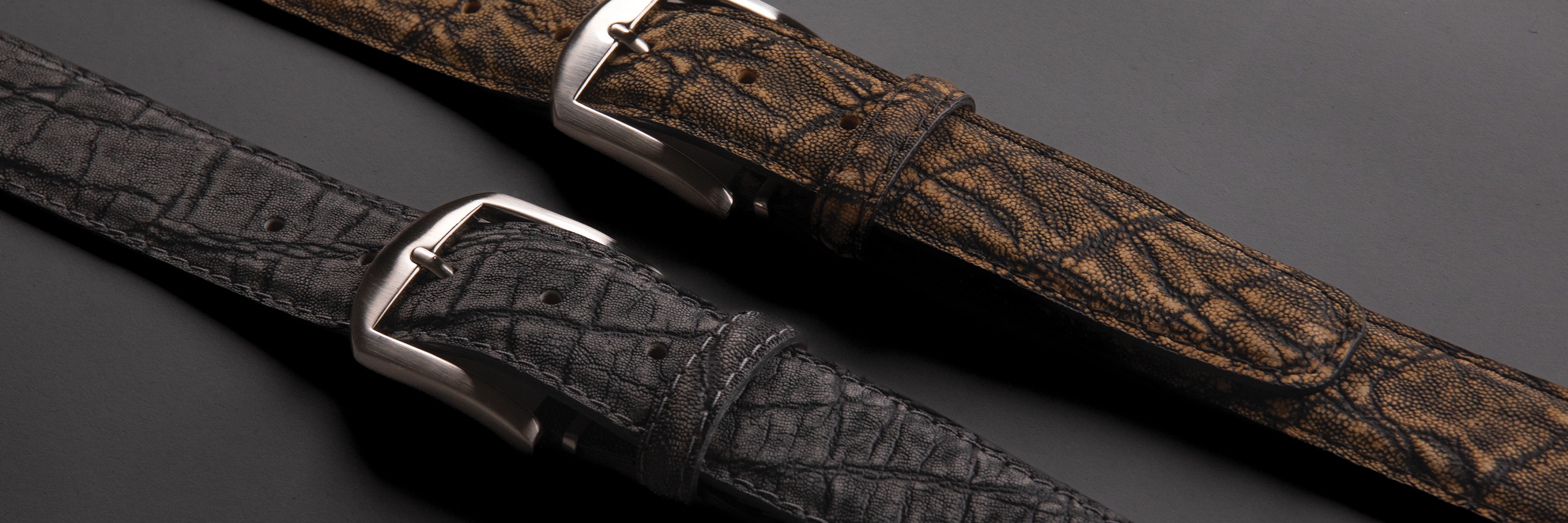 Licensed & Registered Elephant