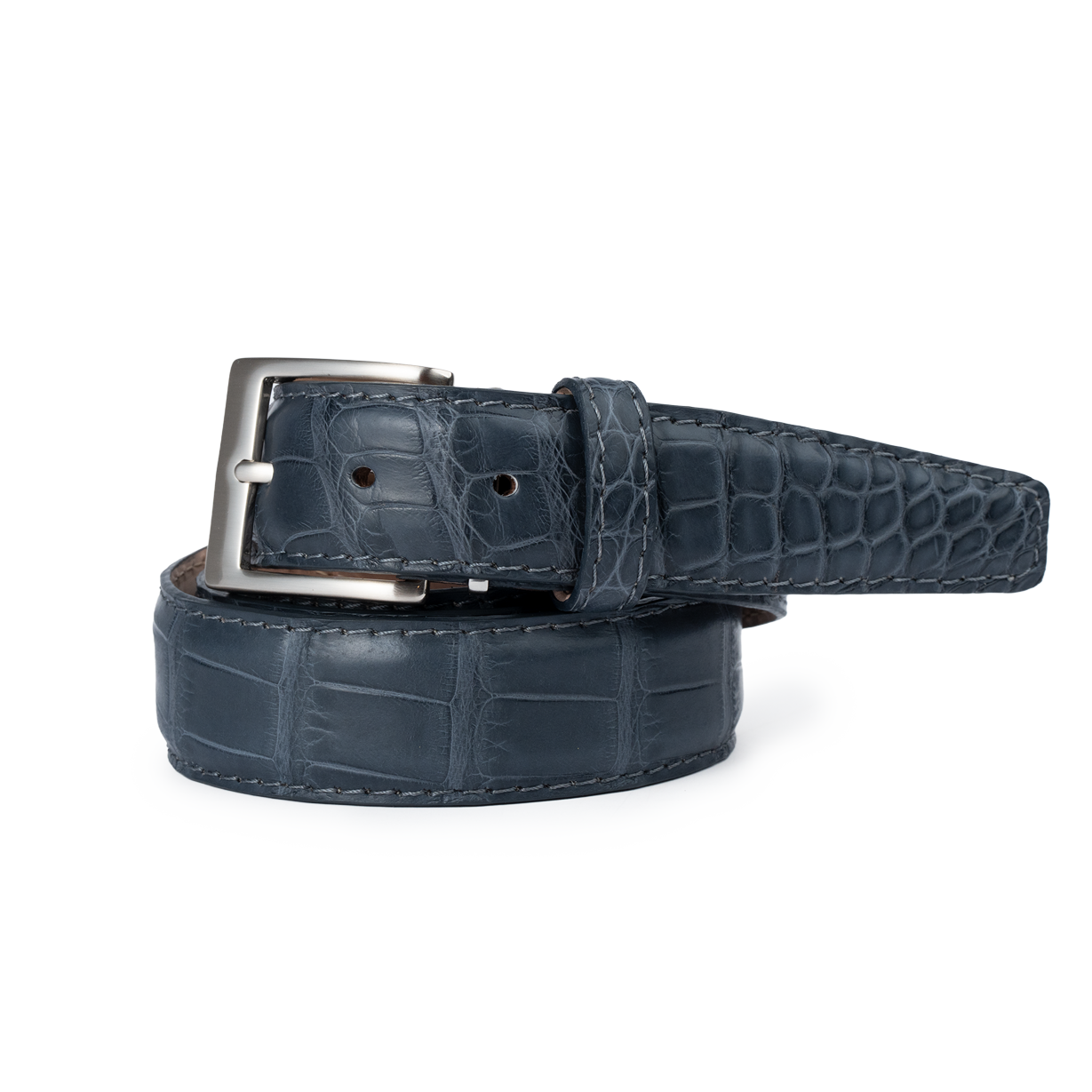 American Alligator - Coal 35mm