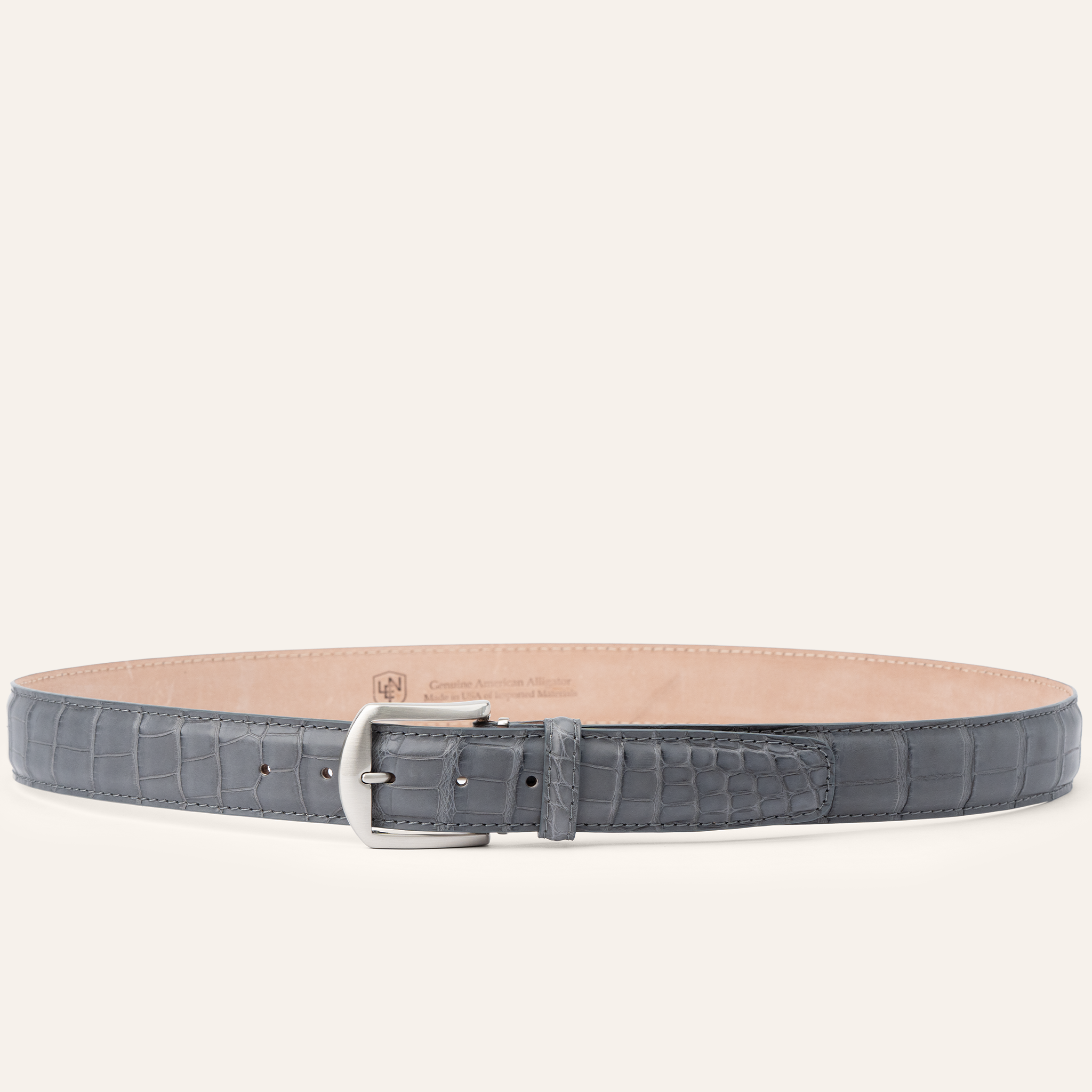 American Alligator - Grey