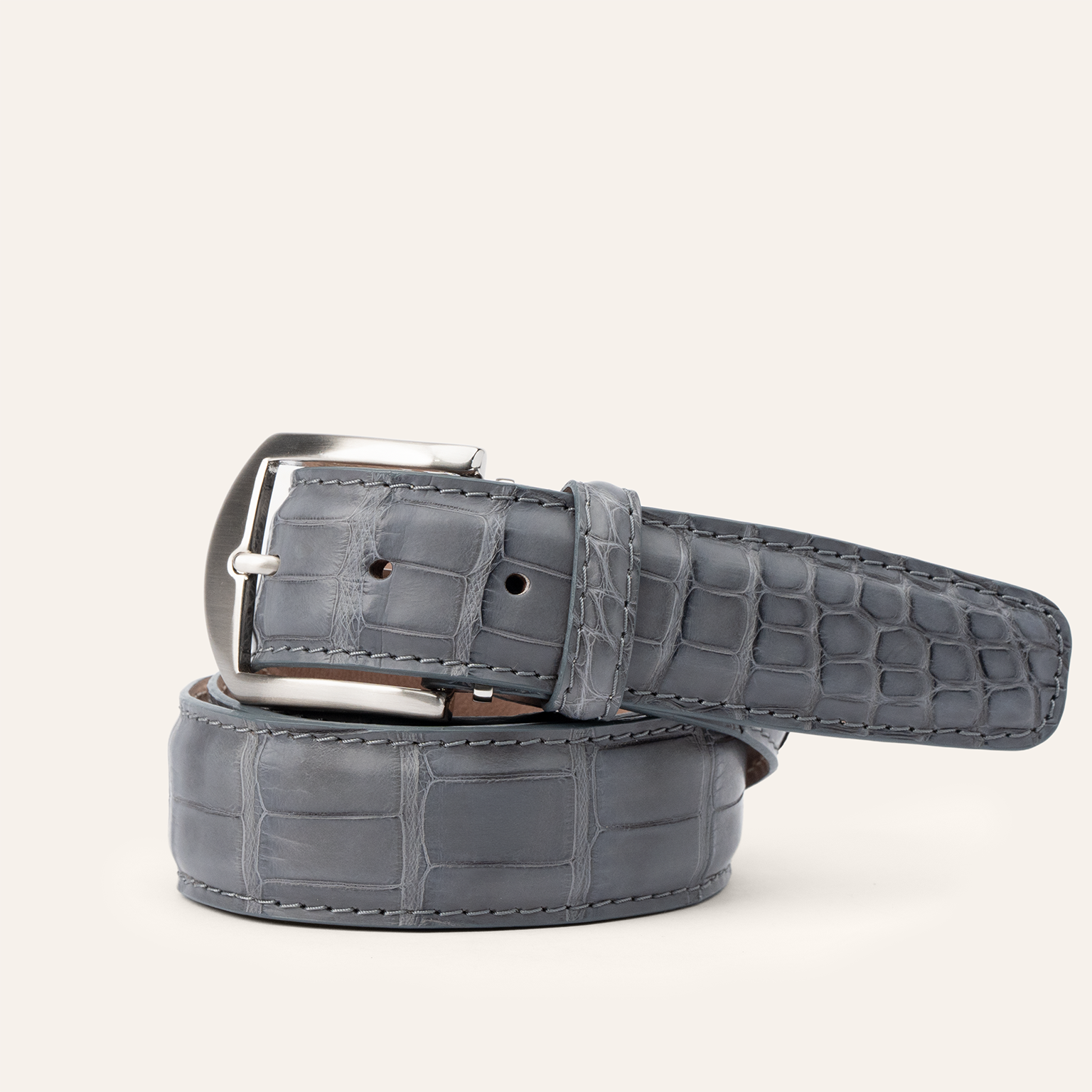 American Alligator - Grey