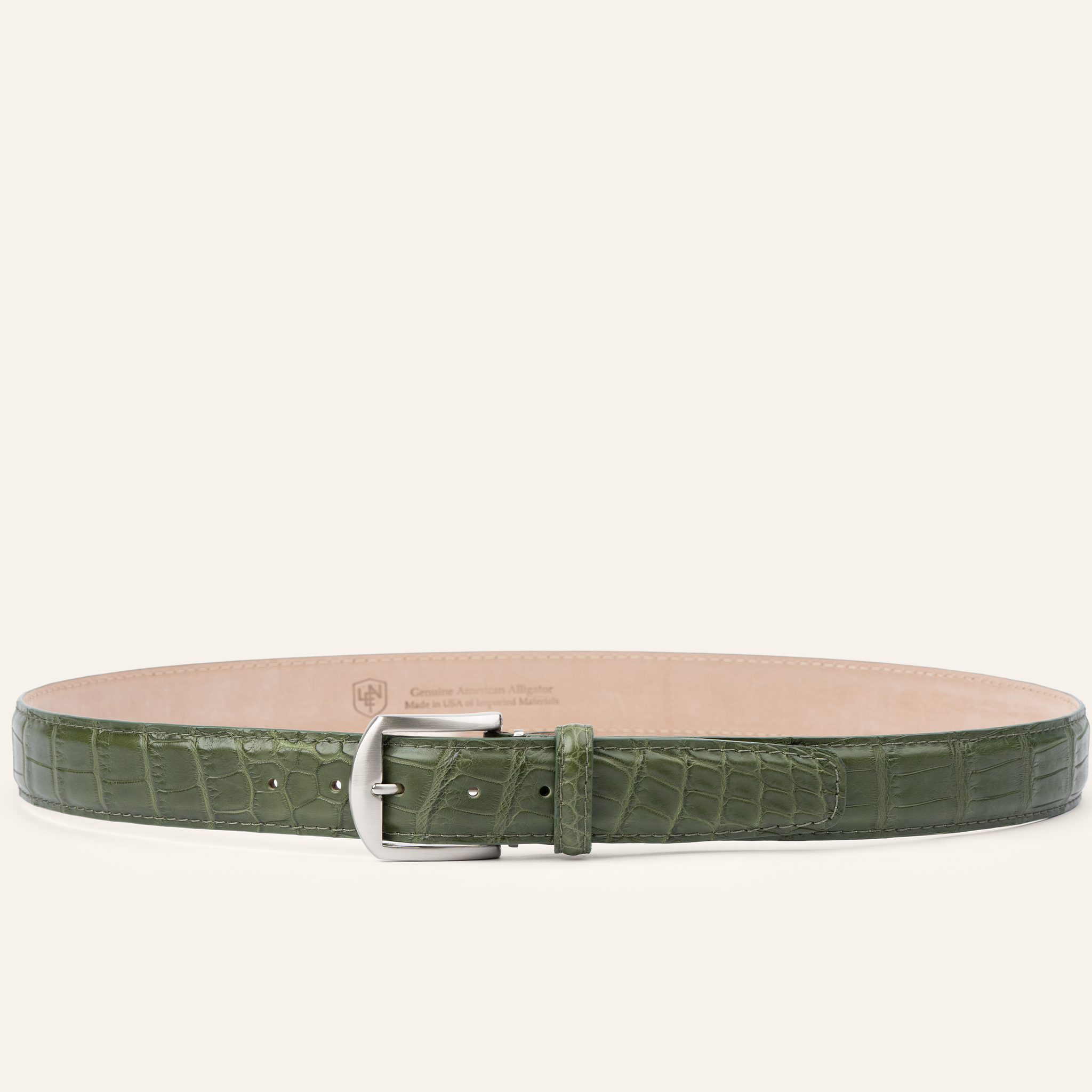 American Alligator - Olive