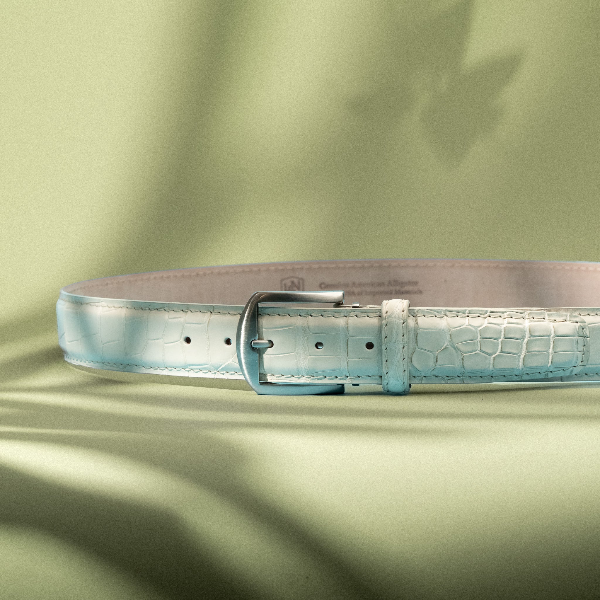 American Alligator - White Smoke