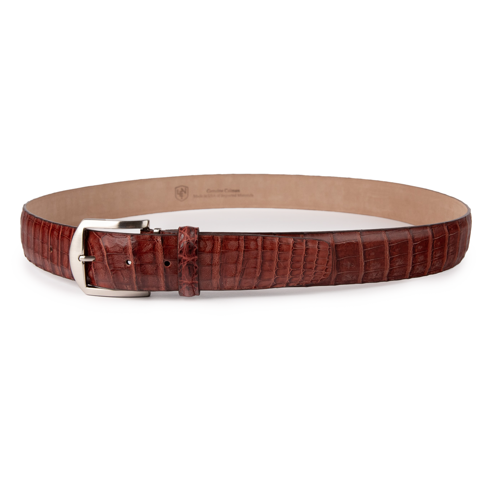 Caiman Crocodile - Amaretto