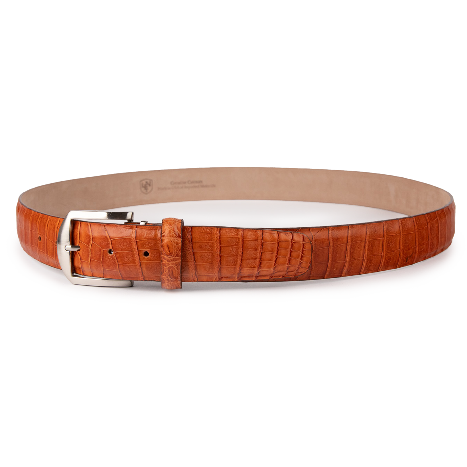 Caiman Crocodile - Cognac