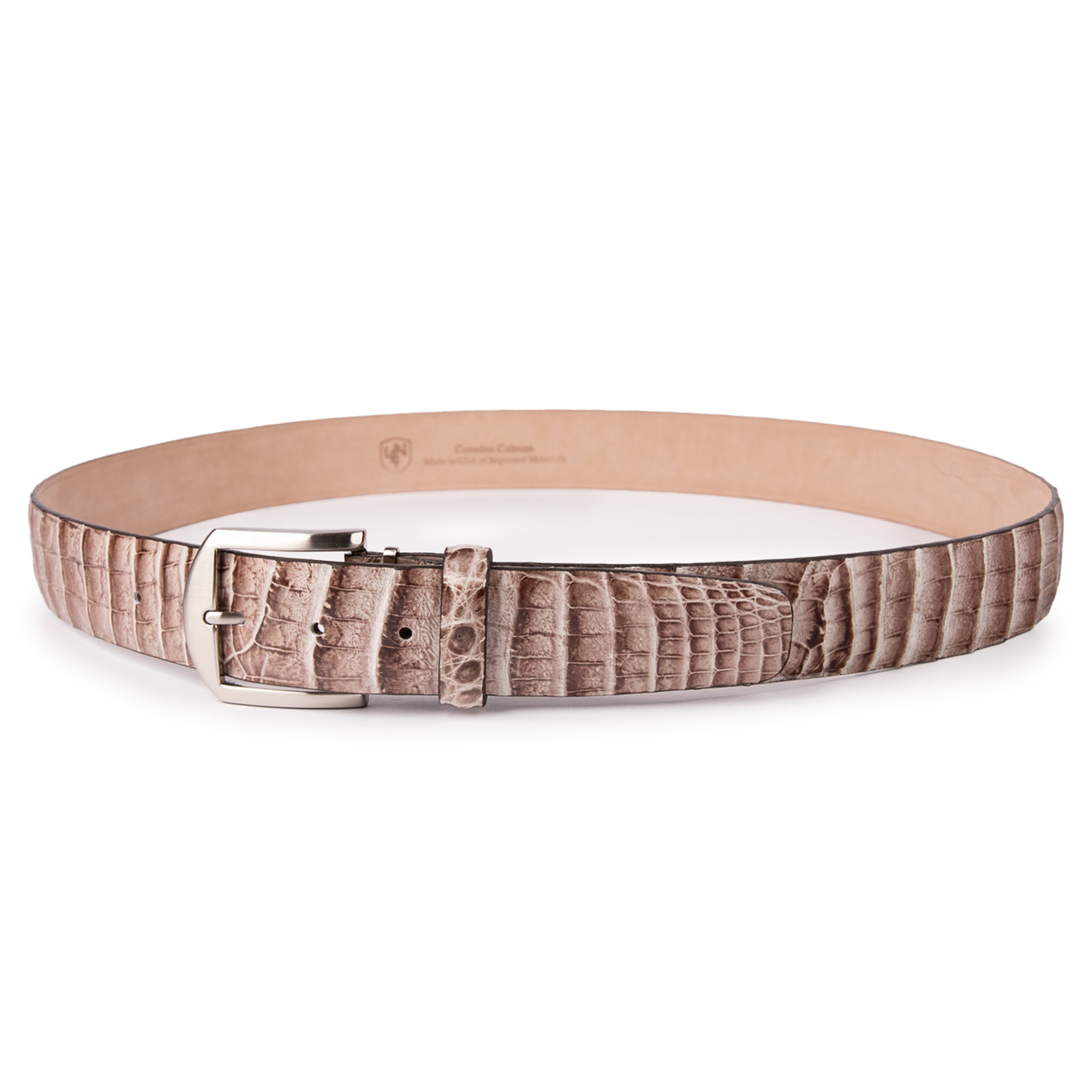 Caiman Crocodile - Natural