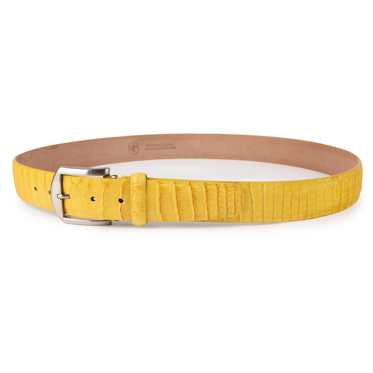 Caiman Crocodile - Yellow