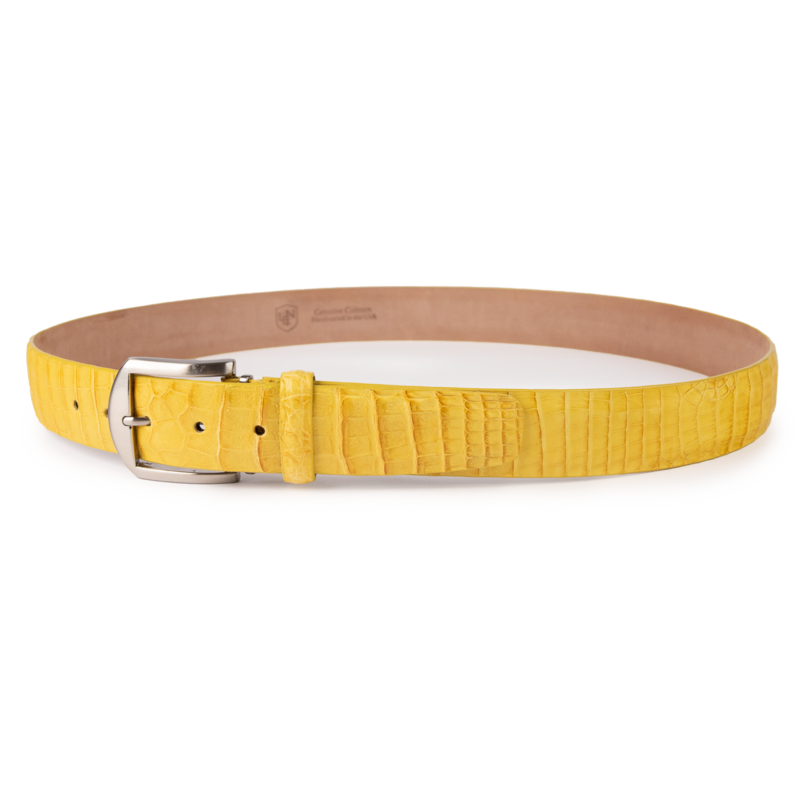 Caiman Crocodile - Yellow
