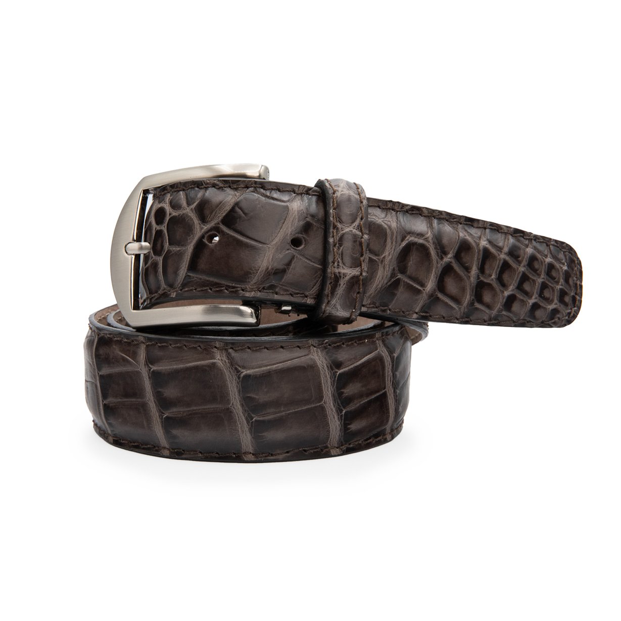 American Alligator - Limited Edition Espresso