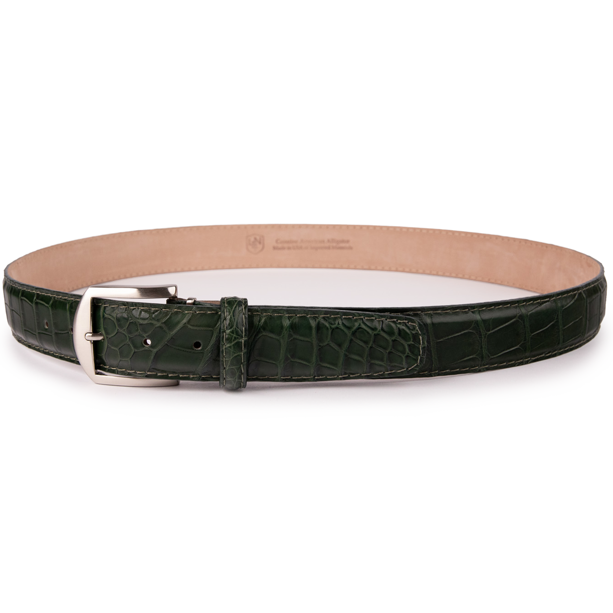 American Alligator - Dark Green