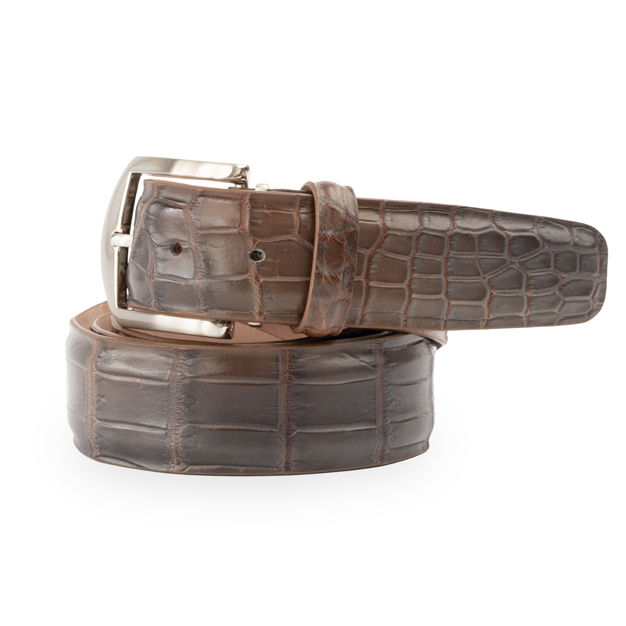 Marbled Nile Crocodile - Pecan